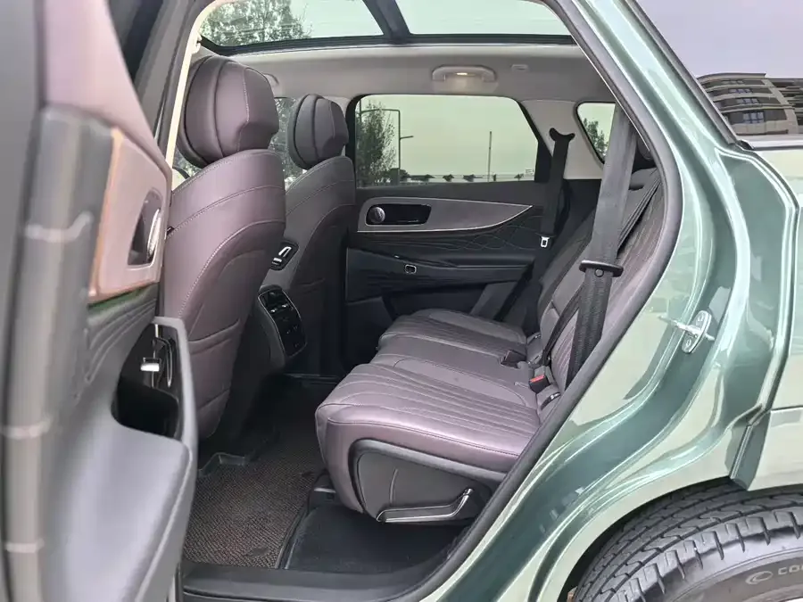 Chery Fengyun T10 Fengyun T10 2024 210 Luxury Edition 2024 — миниатюра 2