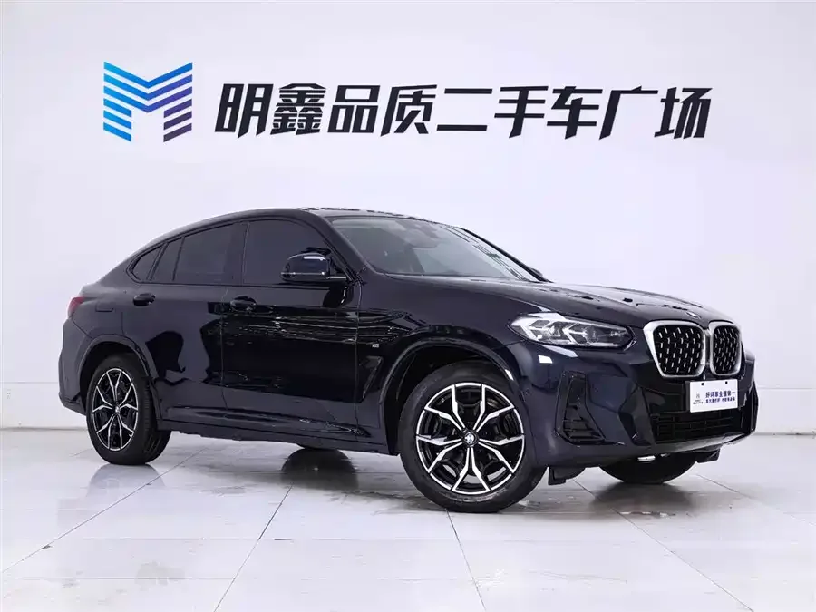 BMW X4 2022 xDrive 25i M Sport Package 2023 — миниатюра 2