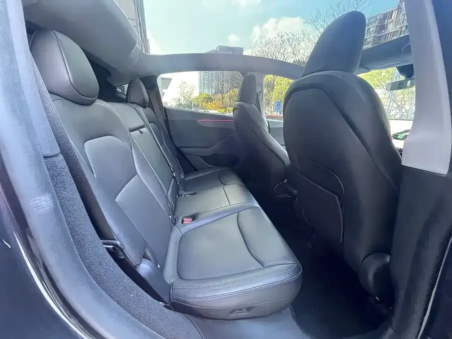 Tesla Model Y Model Y 2025 rear-wheel drive first edition 2025 — миниатюра 3