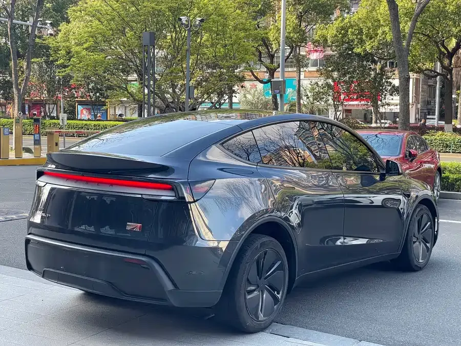 Tesla Model Y Model Y 2025 rear-wheel drive first edition 2025 — миниатюра 4