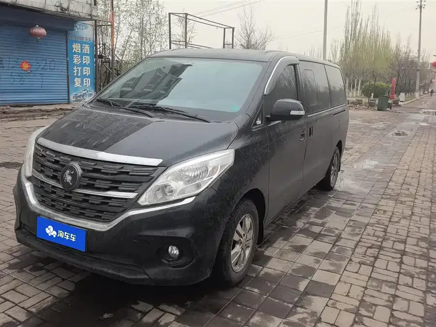 Dongfeng Lingzhi PLUS Lingzhi PLUS 2023 2.0L Manual Luxury CNG 7 Seaters 2024 — фото 1, купить с доставкой в Москву