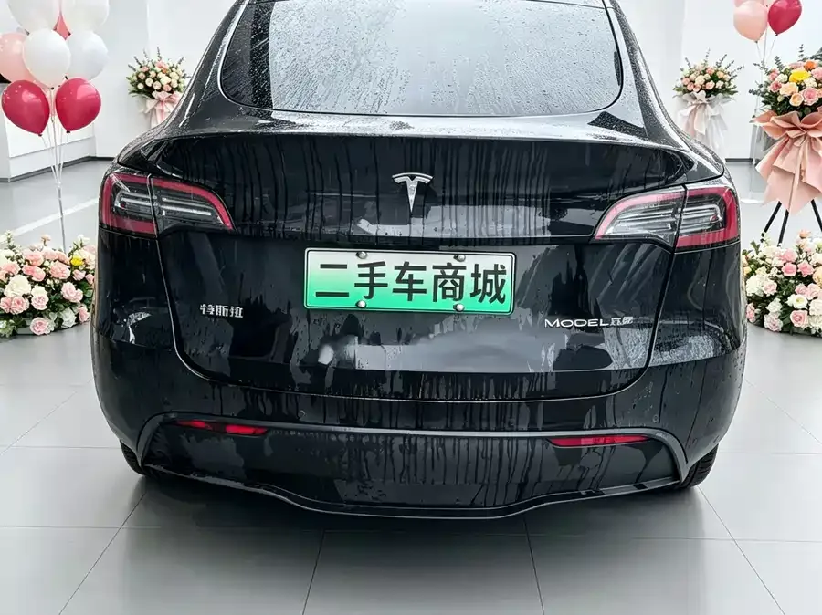 Tesla Model Y Model Y 2022 facelift rear-wheel drive version 2022 — миниатюра 5