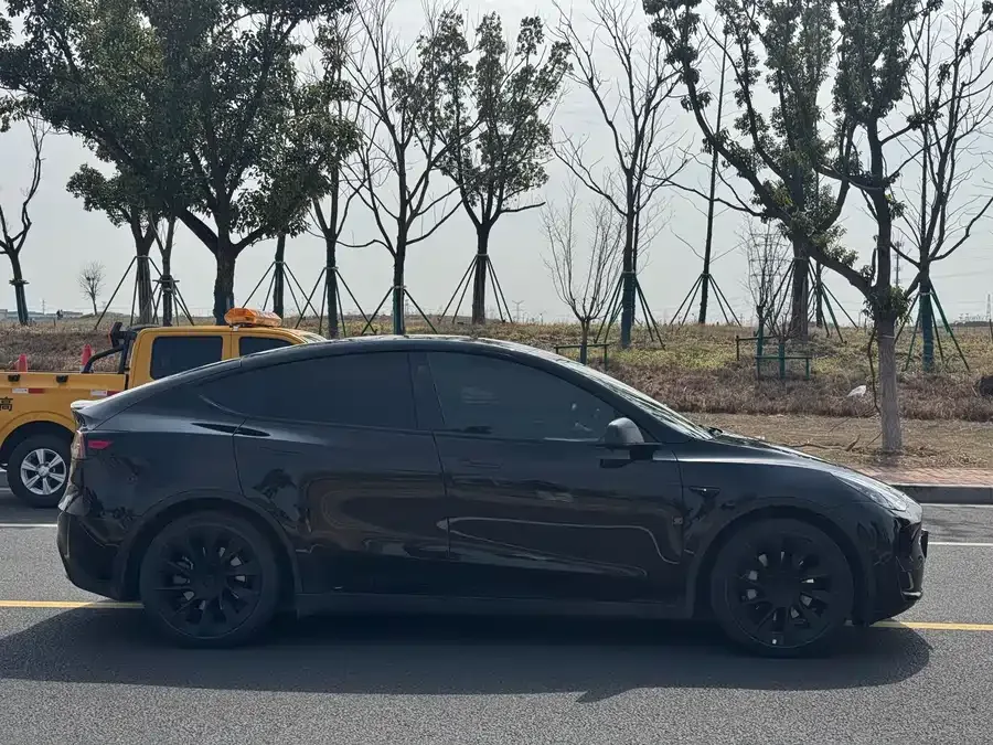 Tesla Model Y Model Y 2022 rear-wheel drive version 2022 — миниатюра 2