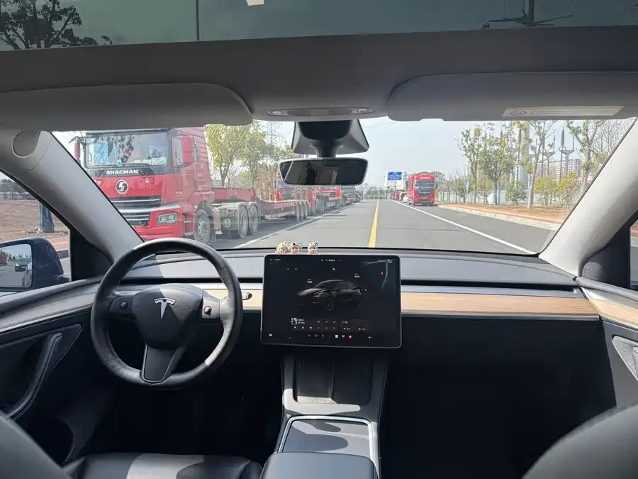 Tesla Model Y Model Y 2022 rear-wheel drive version 2022 — миниатюра 3