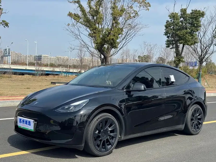 Tesla Model Y Model Y 2022 rear-wheel drive version 2022 — миниатюра 4