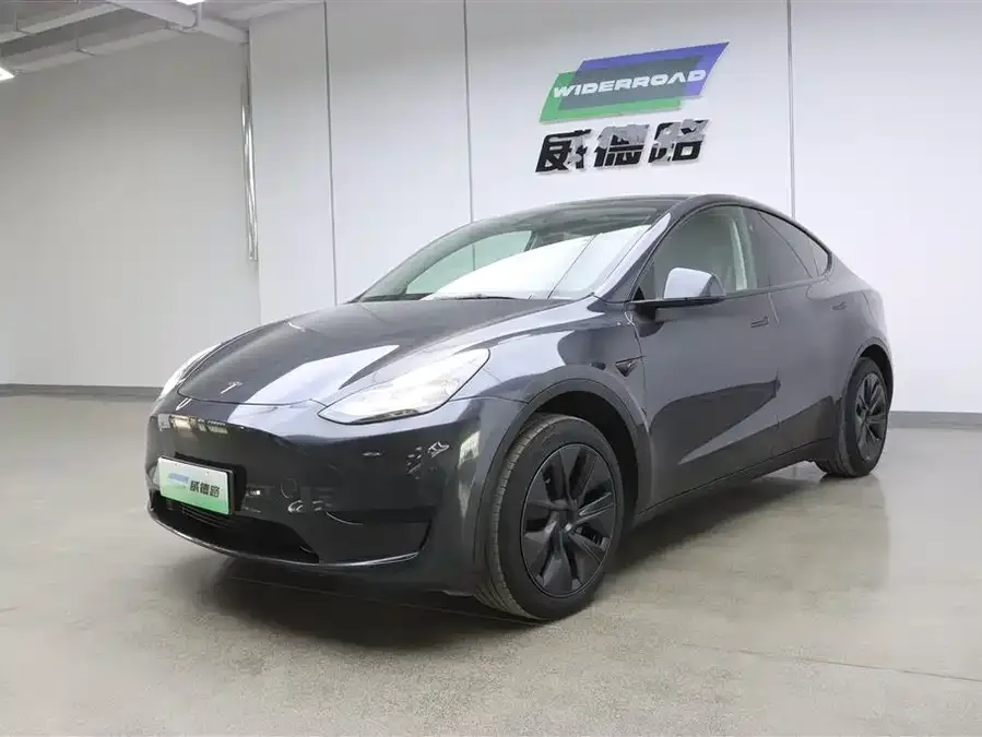 Tesla Model Y Model Y 2024 rear-wheel drive version 2025 — фото 1, купить с доставкой в Москву