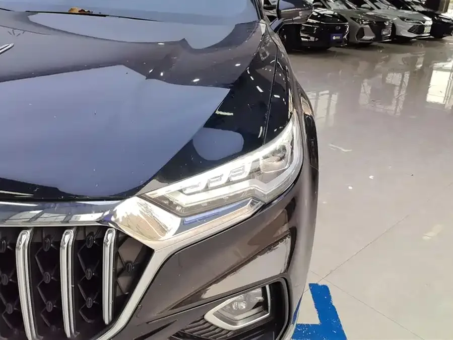 Hongqi HS5 Hongqi HS5 2022 facelift 2.0T Zhilian Qixiang Edition 2022 — миниатюра 5