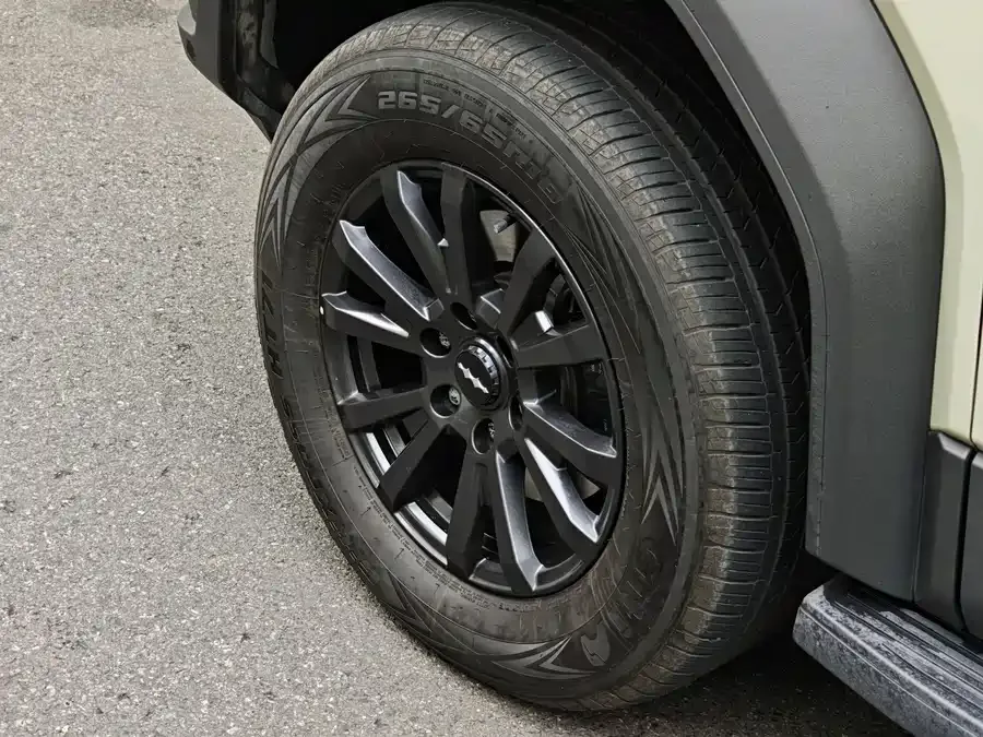 BYD Leopard Leopard 5 Leopard 5 2023 Pilot Edition 2025 — миниатюра 4