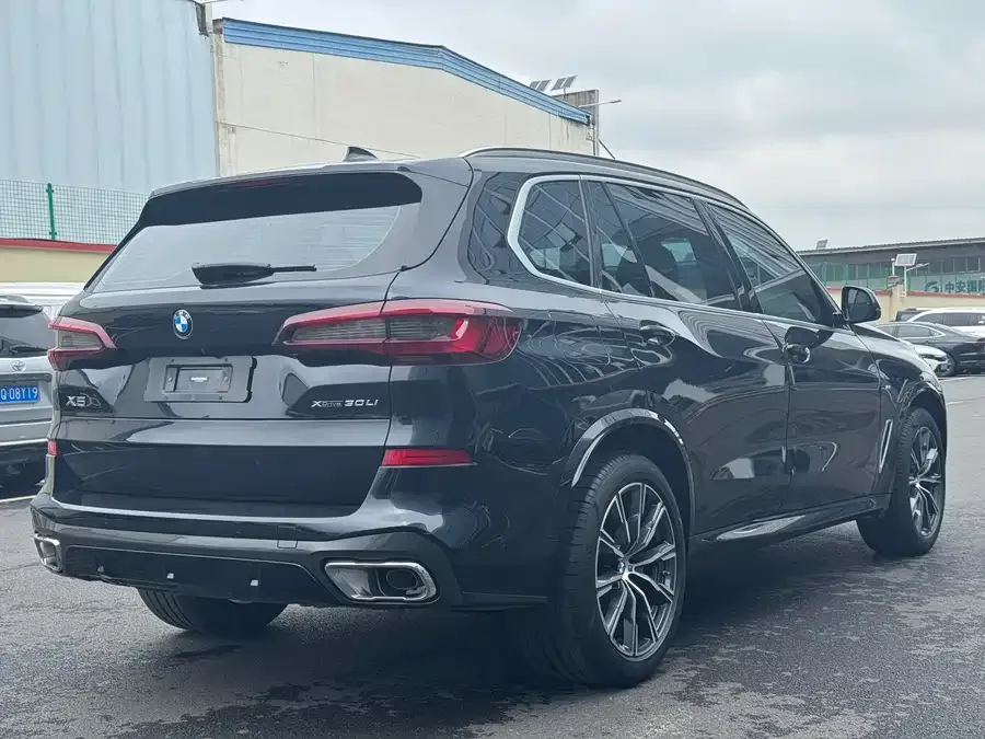 BMW X5 2022 facelift xDrive 30Li Exclusive M Sport Package 2023 — миниатюра 5