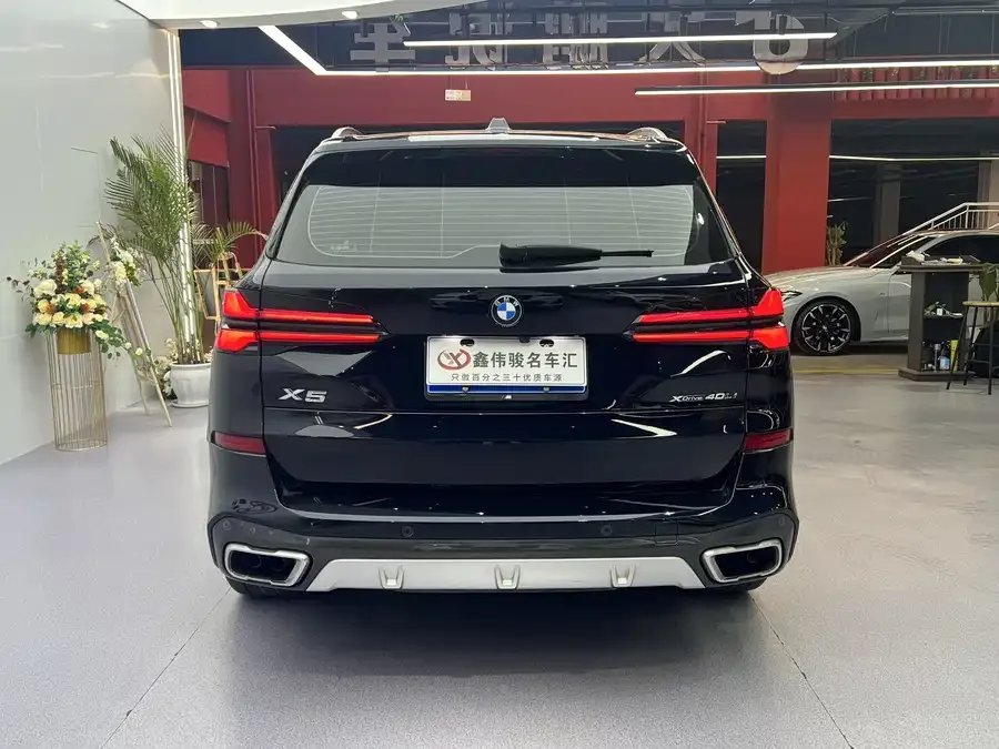 BMW X5 2023 xDrive 40Li M Sport Package 2024 — миниатюра 5
