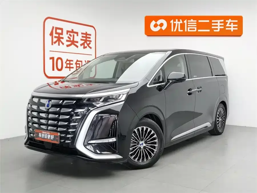 BYD D9 2024