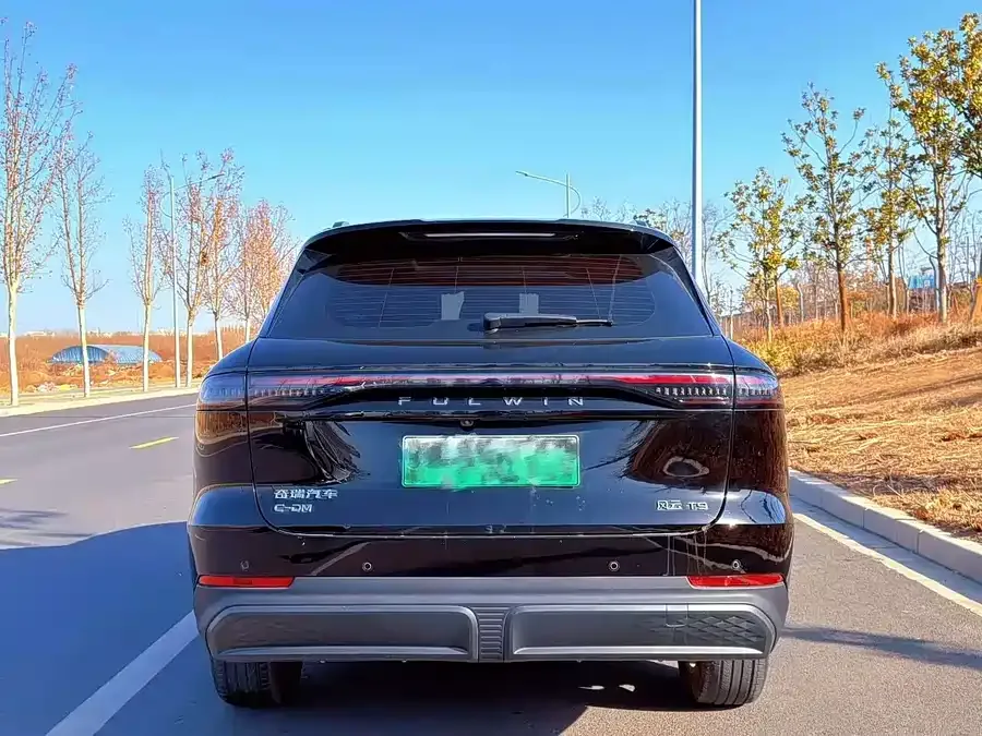 Chery Fengyun T9 Fengyun T9 2024 120 Long Range Standard 5 Seater Ternary Lithium 2024 — миниатюра 5