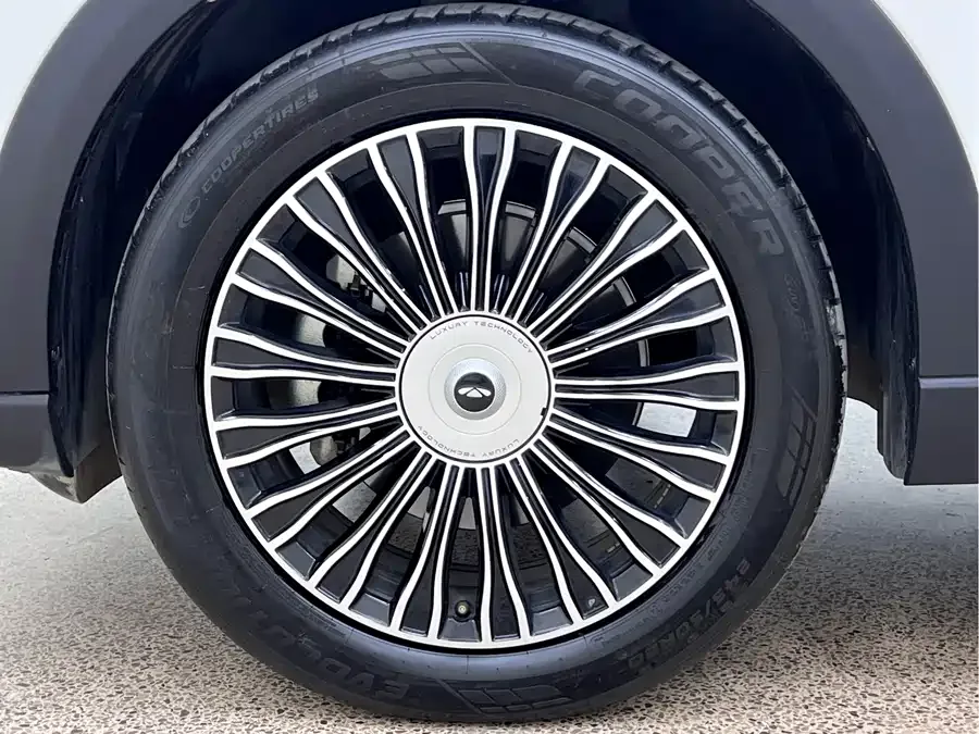 Chery Fengyun T9 Fengyun T9 2024 120 Long-range flagship 7-seater ternary lithium 2024 — миниатюра 3