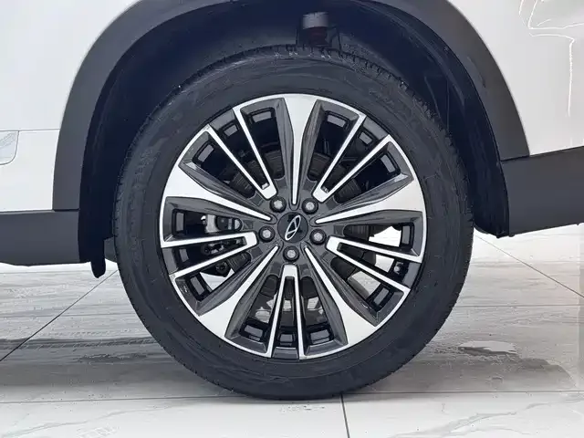 Chery Tiggo 8 Pro Tiggo 8 PRO 2024 Champion Edition 390T 2WD Peak Edition 5 Seaters 2024 — миниатюра 3