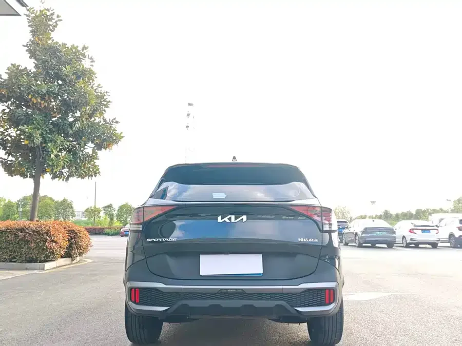 Kia Lion Platinum Lion Bo Tuojie 2025 2.0T 2WD Premium Edition 2025 — миниатюра 2