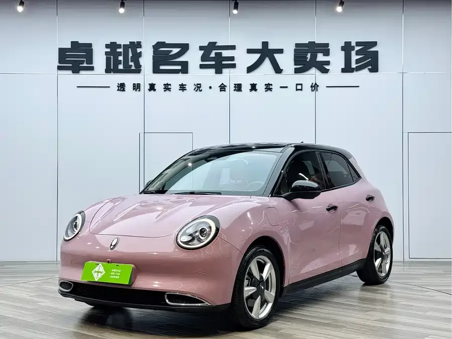 ORA good cat Euler Good Cat 2023 401km standard range luxury lithium iron phosphate 2024 — фото 1, купить с доставкой в Москву