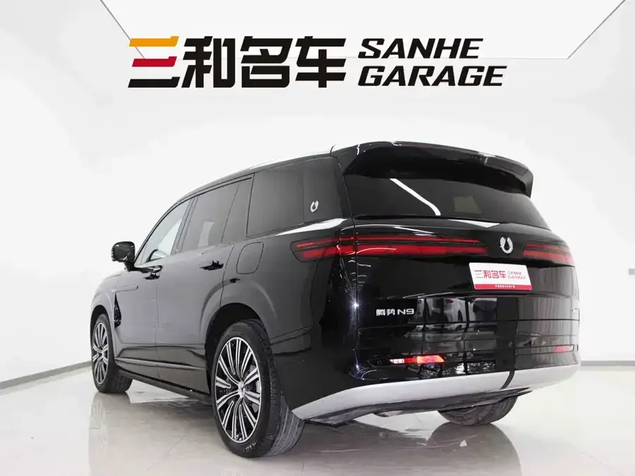 BYD N9 Denza N9 2025 Premium Edition 2025 — миниатюра 5