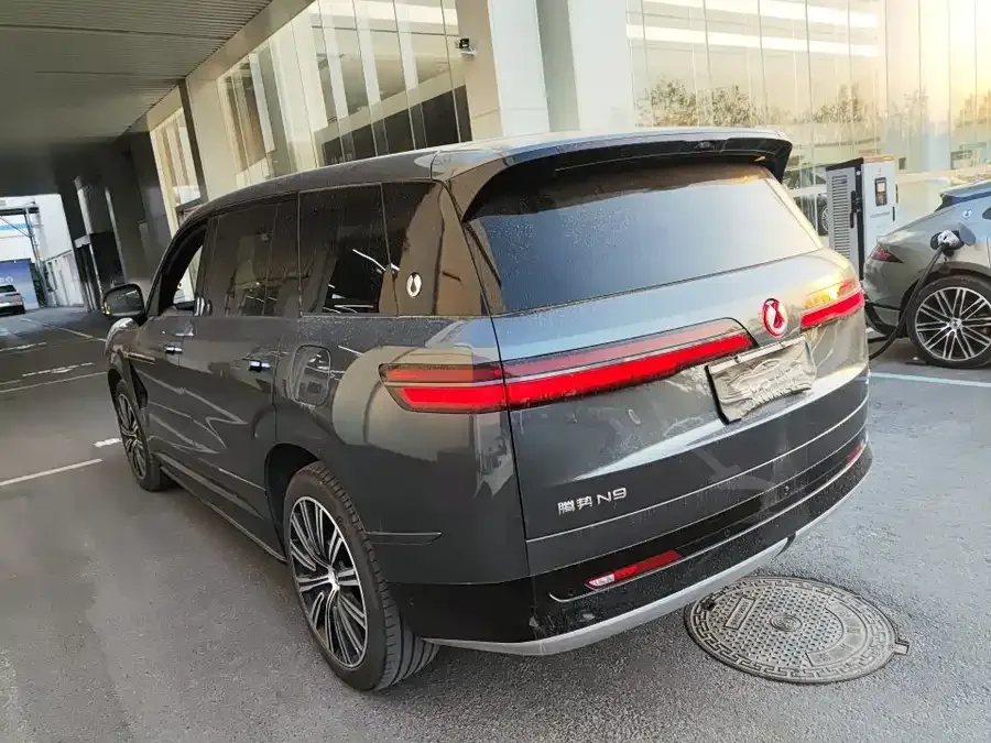 BYD N9 Denza N9 2025 Premium Edition 2025 — миниатюра 4