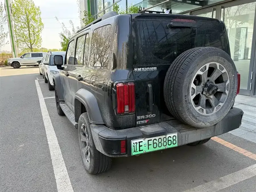 Tank 300 New Energy Tank 300 New Energy 2025 Hi4-T 37.1kWh 2025 — миниатюра 3