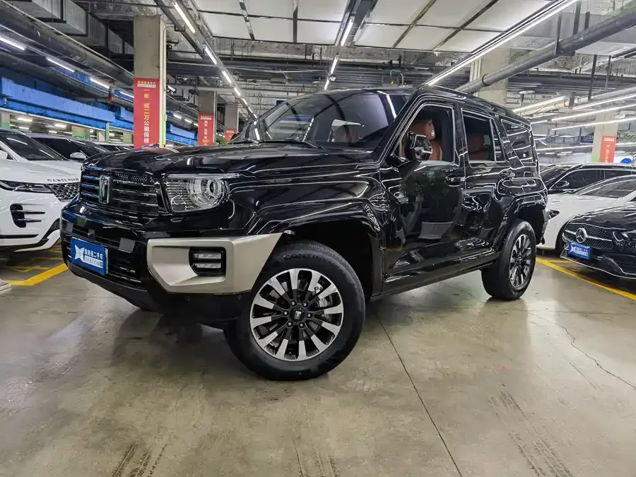Tank 700 New Energy 2025