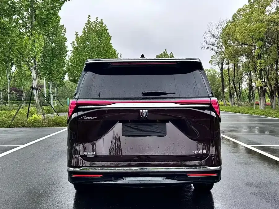 Buick GL8 New Energy Buick GL8 PHEV 2025 Land Cruiser Smart Edition 2025 — миниатюра 5
