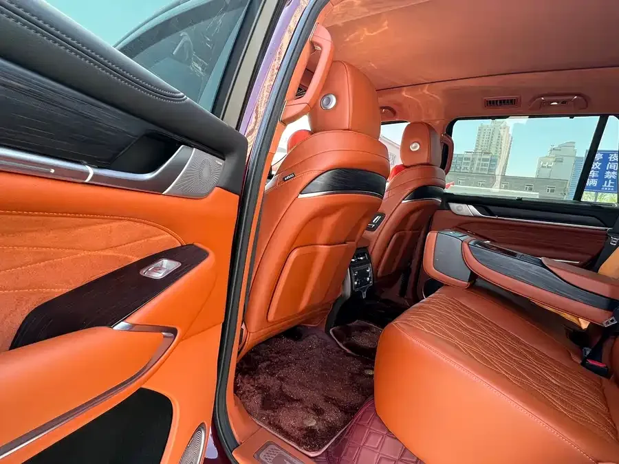 Tank 500 Tank 500 2023 3.0T Special Customized Edition 5 Seaters 2023 — миниатюра 2