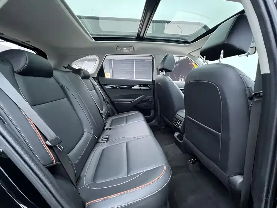 Kia Cyrus (Seltos) 2023 Certus 1.5L CVT Luxury Edition 2024 — миниатюра 5