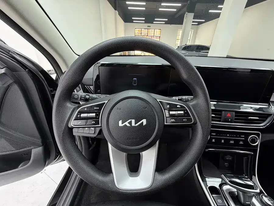 Kia Cyrus (Seltos) 2023 Certus 1.5L CVT Luxury Edition 2023 — миниатюра 3