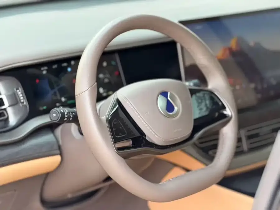 BYD D9 DENZA D9 2022 DM-i 1040 Premium Edition 2023 — миниатюра 4