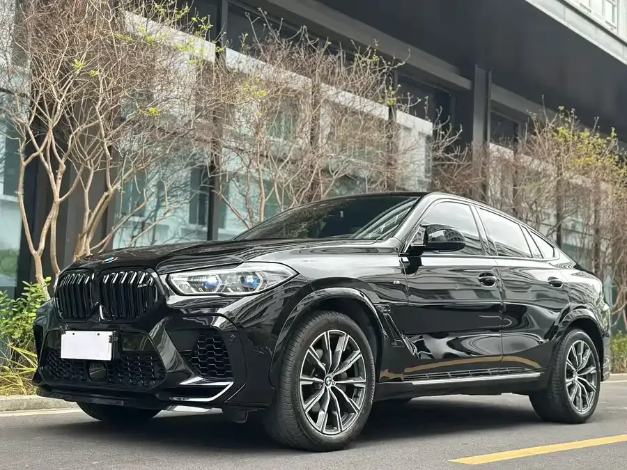 BMW X6 2022