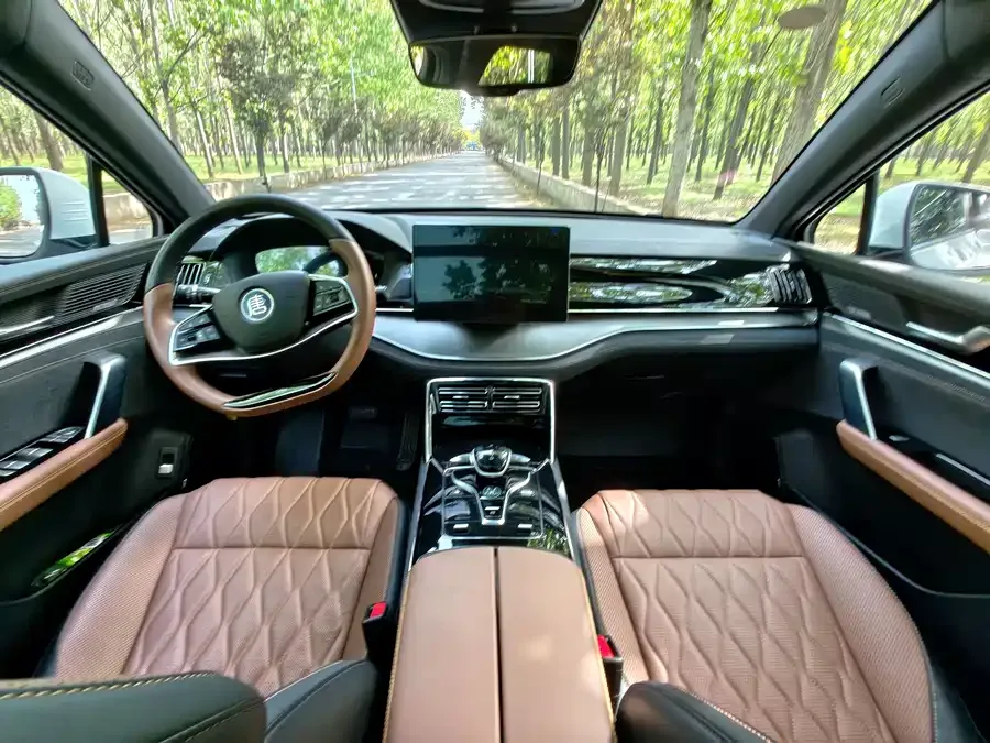 BYD Tang New Energy Tang New Energy 2021 DM-i 112KM Premium Edition 2023 — миниатюра 4