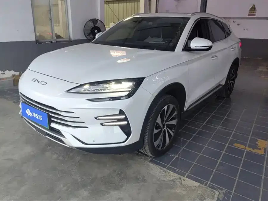 BYD Song PLUS New Energy 2024