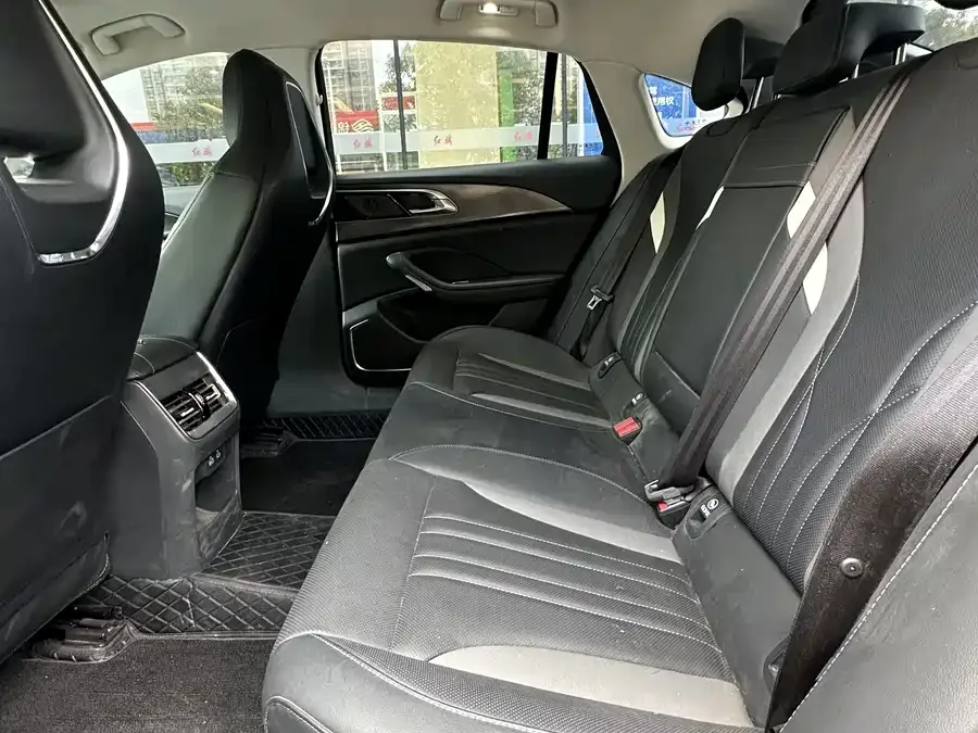Hongqi H6 Hongqi H6 2024 2.0T American Edition 2024 — миниатюра 5