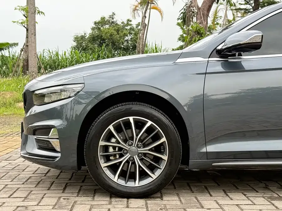 Geely Xingrui Xingrui 2023 2.0TD Luxury 2023 — миниатюра 4