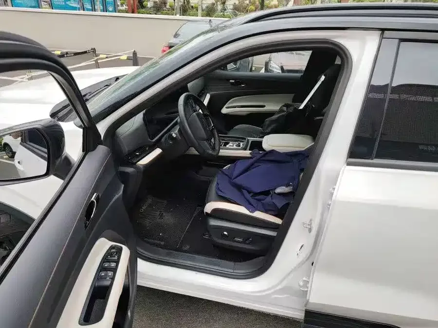 Ford Lingrui Lead Rui 2023 EcoBoost 170 Light and Shadow 2023 — миниатюра 4