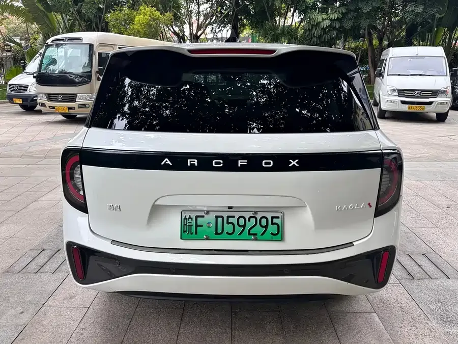 ARCFOX Polar Fox Koala S Polar Fox Koala S 2024 AIR 2024 — миниатюра 2