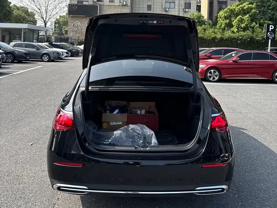 Mercedes-Benz E-Class Mercedes-Benz E-Class 2025 E 300 L Luxury Edition 2025 — миниатюра 4