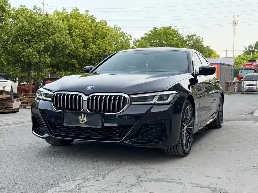 BMW 5 Series BMW 5 Series 2022 530Li Leading M Sport Package 2022 — фото 1, купить с доставкой в Москву
