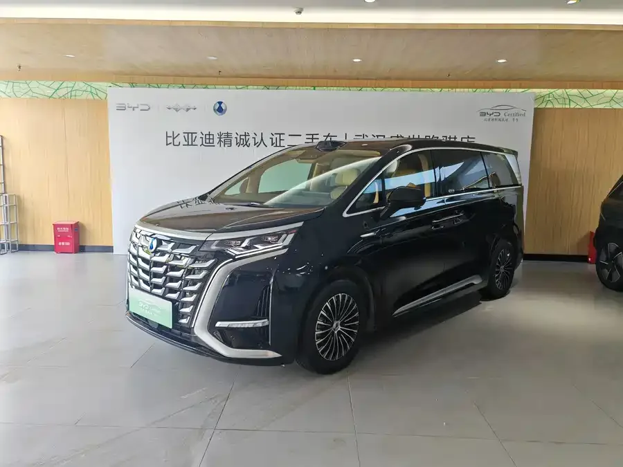 BYD D9 2025