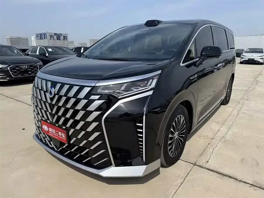 BYD D9 2025