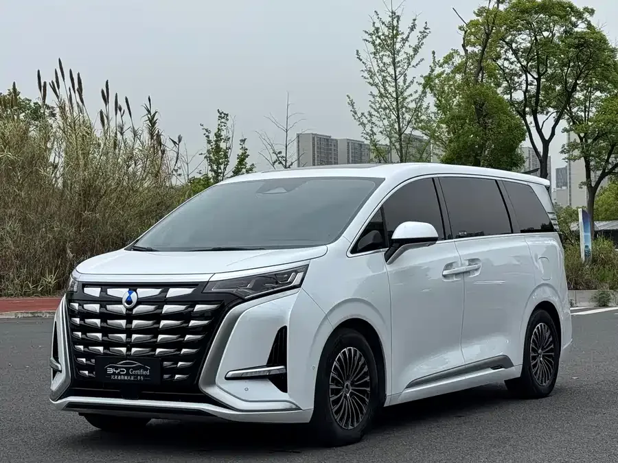 BYD D9 2024