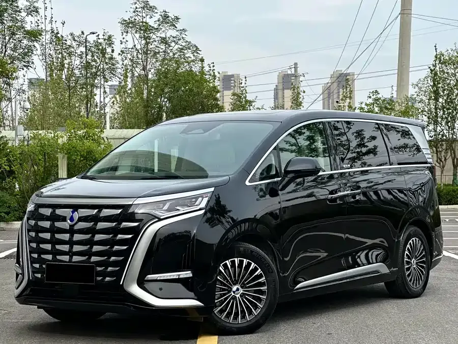 BYD D9 2024