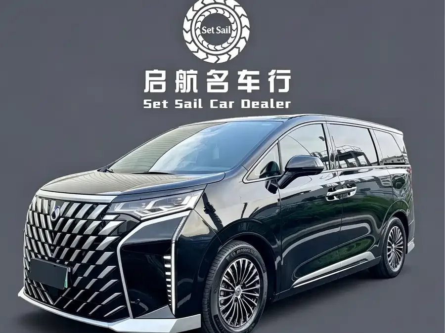 BYD D9 2024