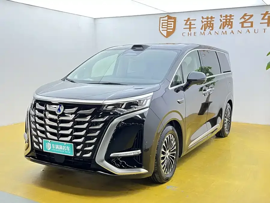 BYD D9 2024