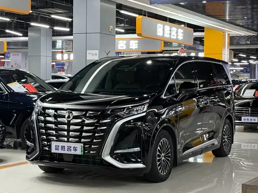 BYD D9 2025