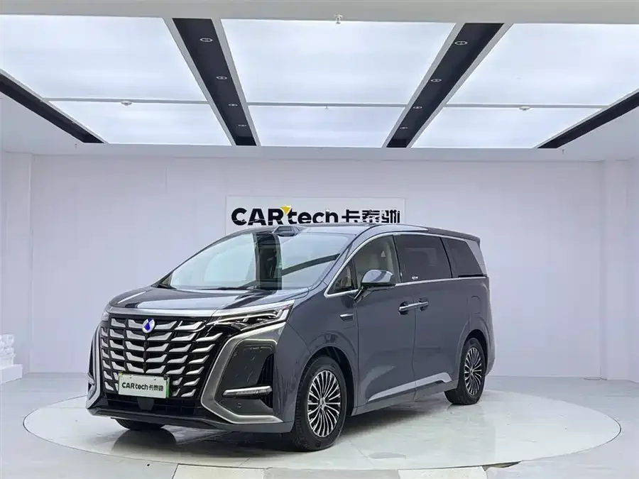 BYD D9 2025