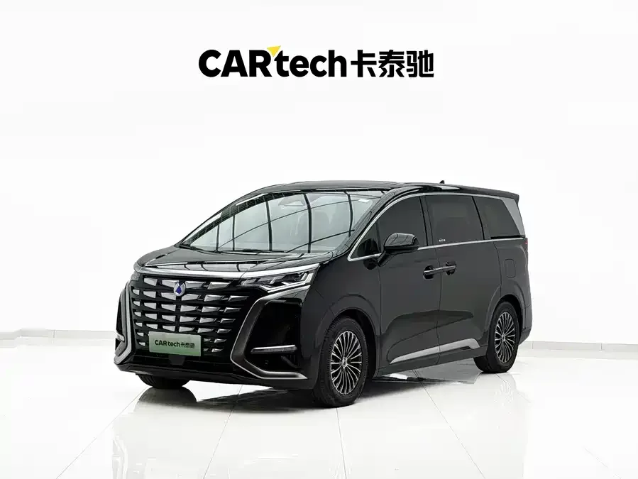 BYD D9 2025
