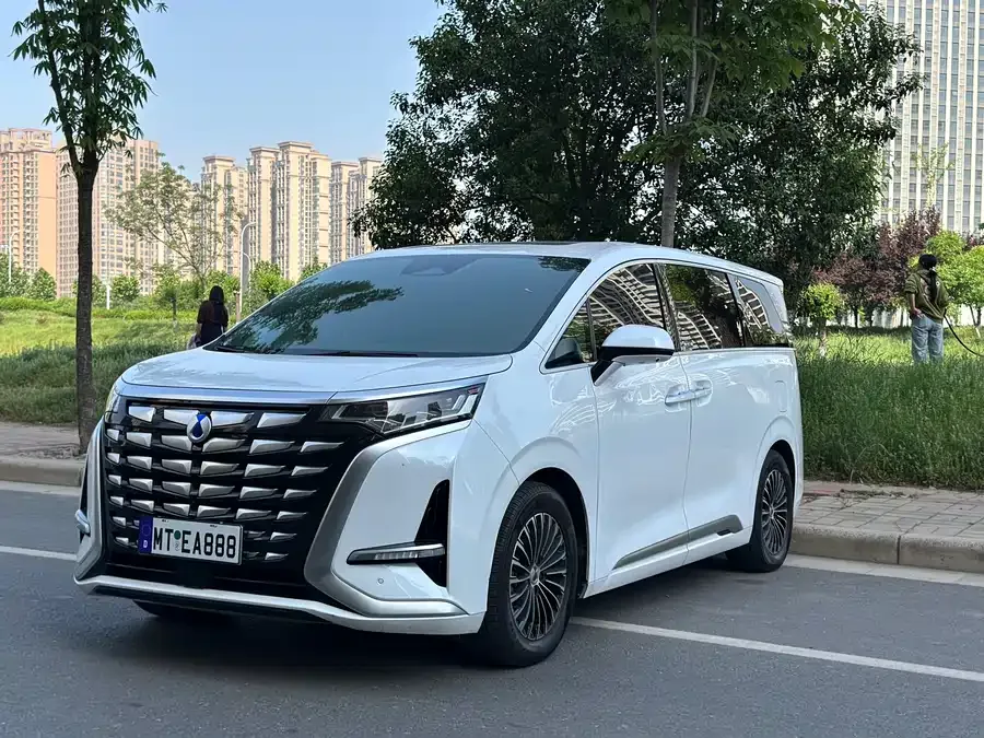 BYD D9 2023