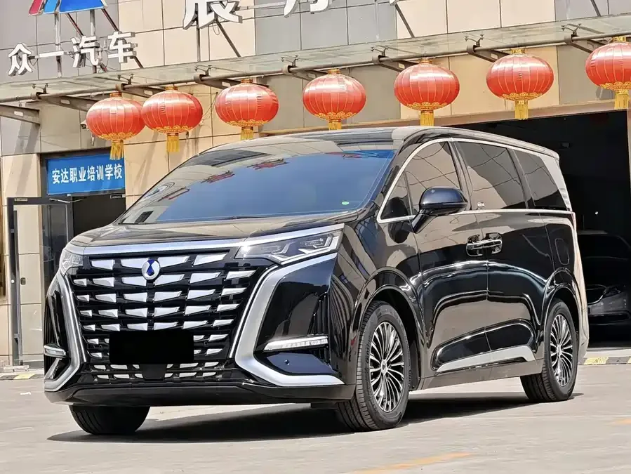 BYD D9 2025