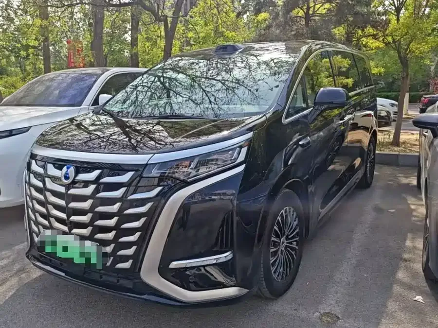 BYD D9 2025